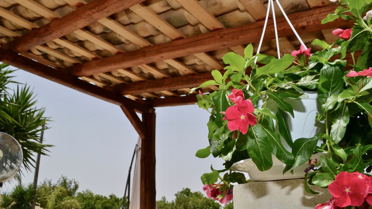 Photo of Outdoor in Melilli