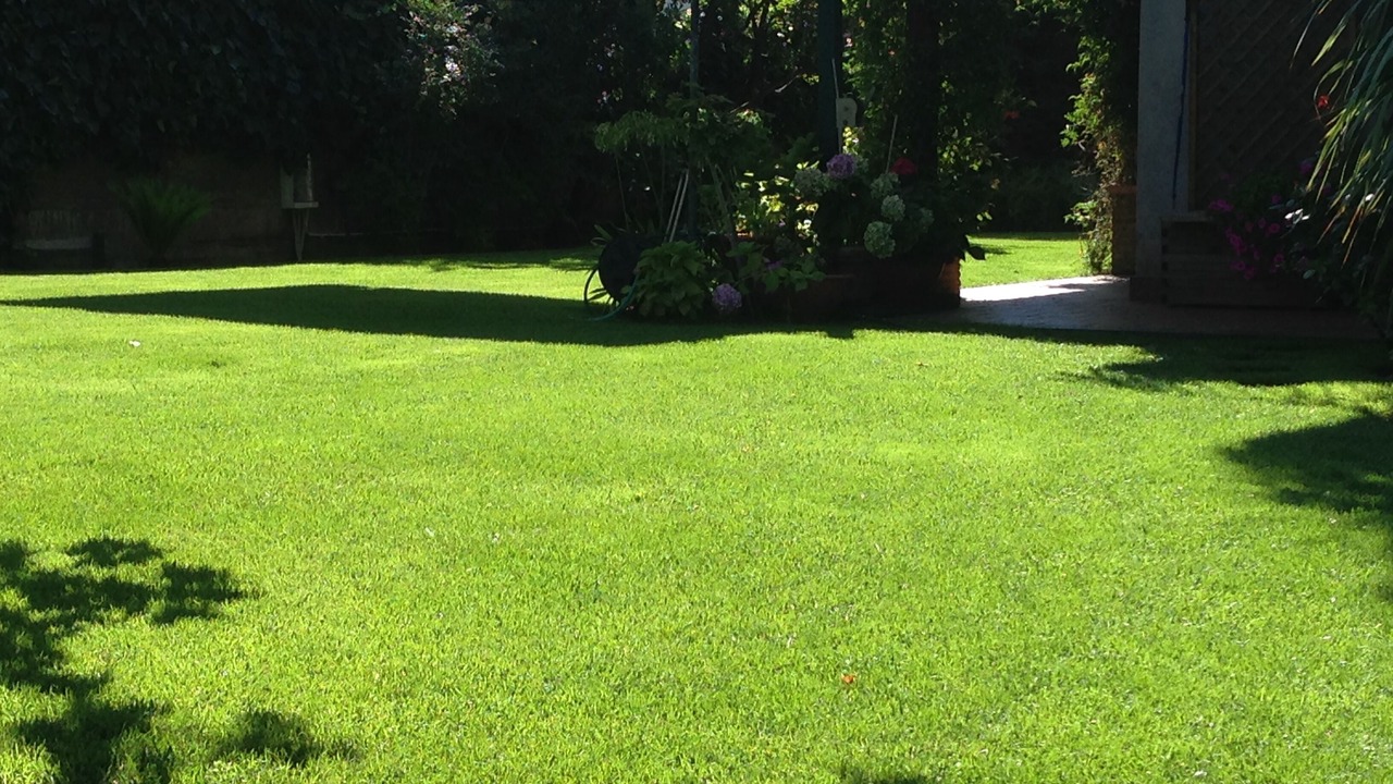 Photo of Outdoor in Ragalna