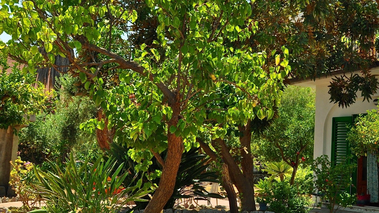 Photo of Outdoor in Mazzeo
