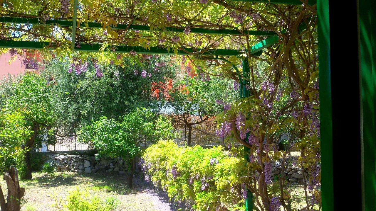 Photo of Outdoor in Mazzeo