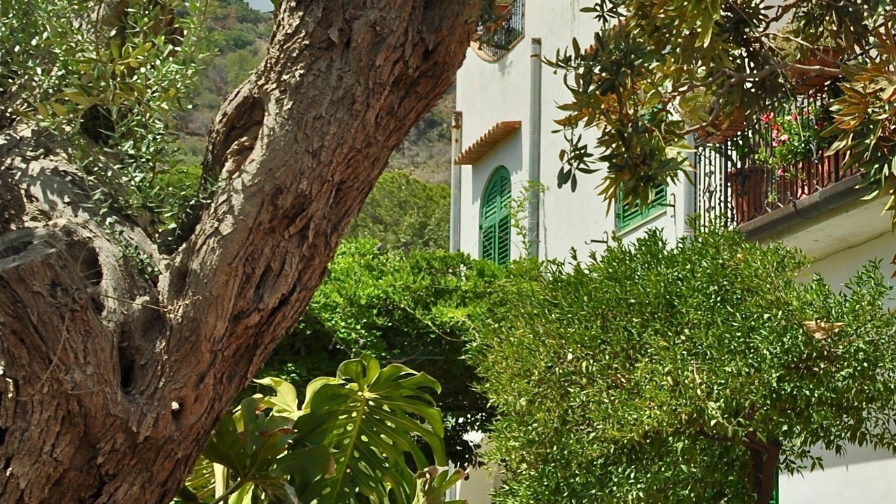 Photo of Outdoor in Mazzeo