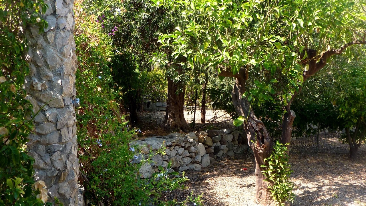 Photo of Outdoor in Mazzeo