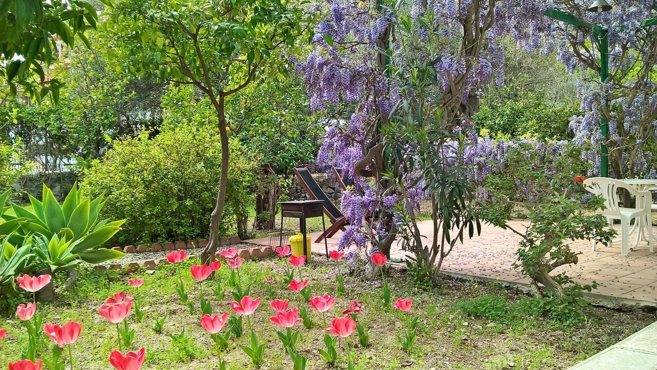 Photo of Outdoor in Mazzeo
