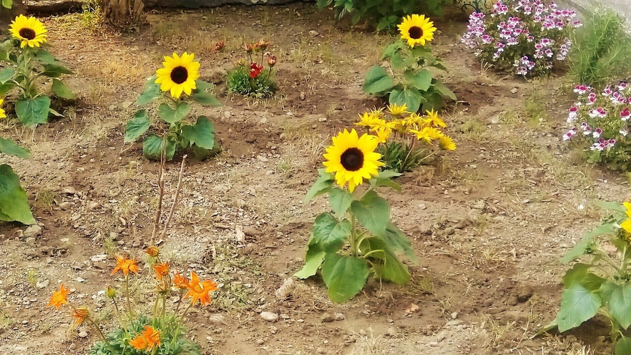 Photo of Outdoor in Mazzeo
