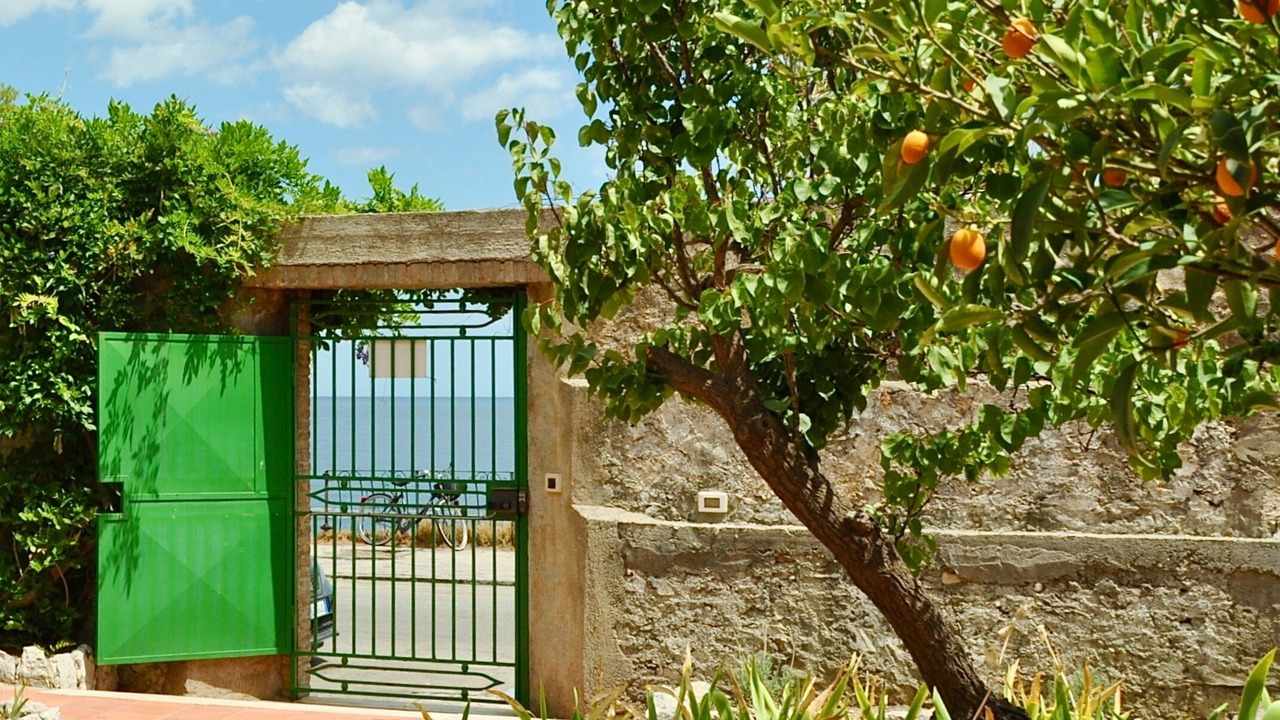 Photo of Outdoor in Mazzeo