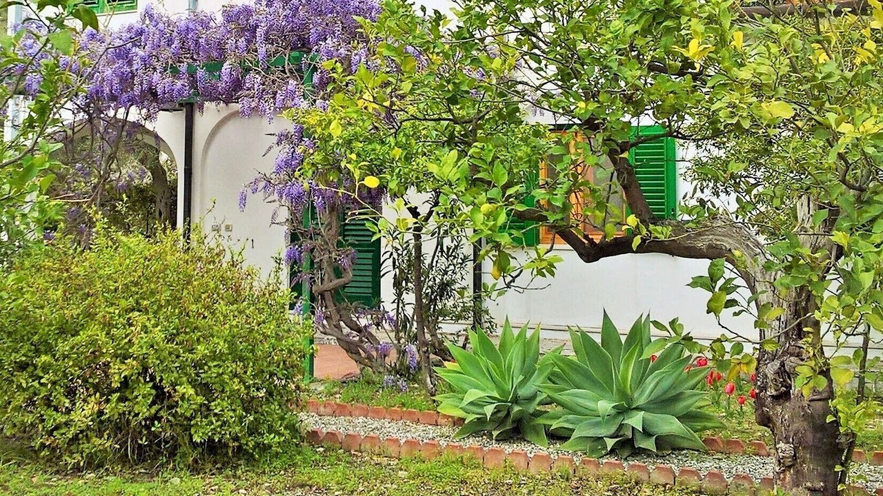 Photo of Outdoor in Mazzeo
