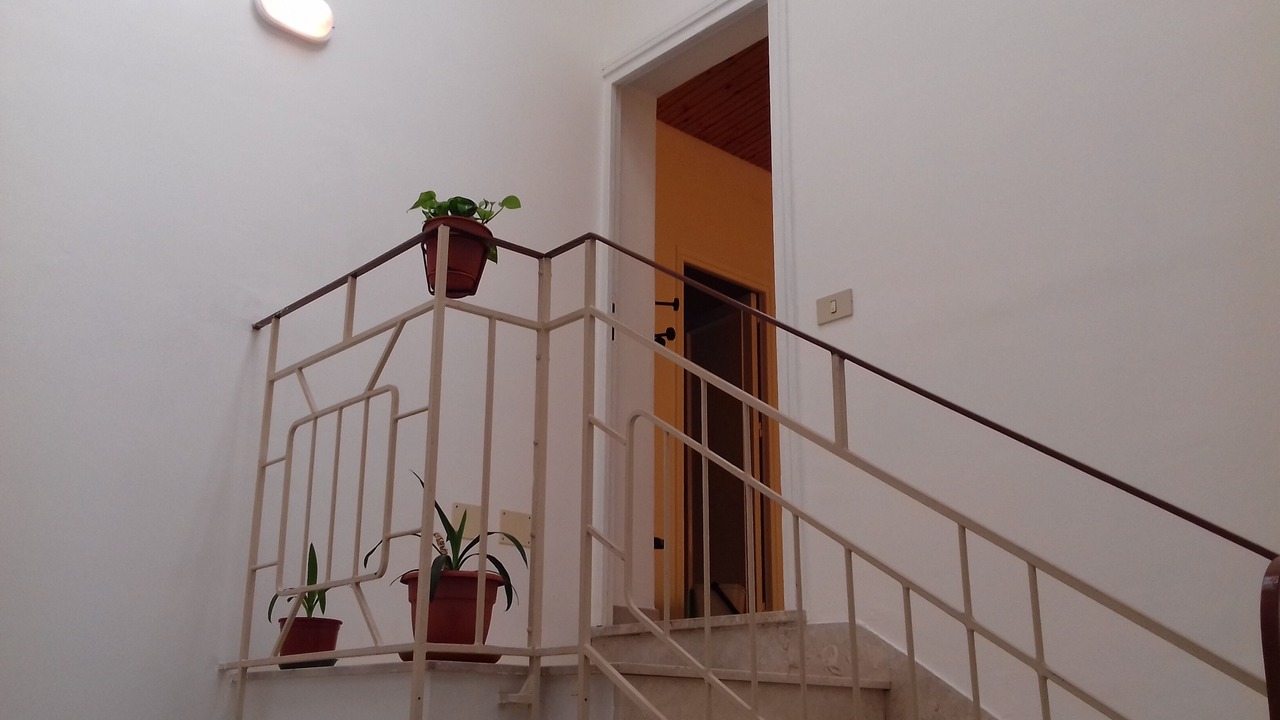 Photo of Others in Marsala