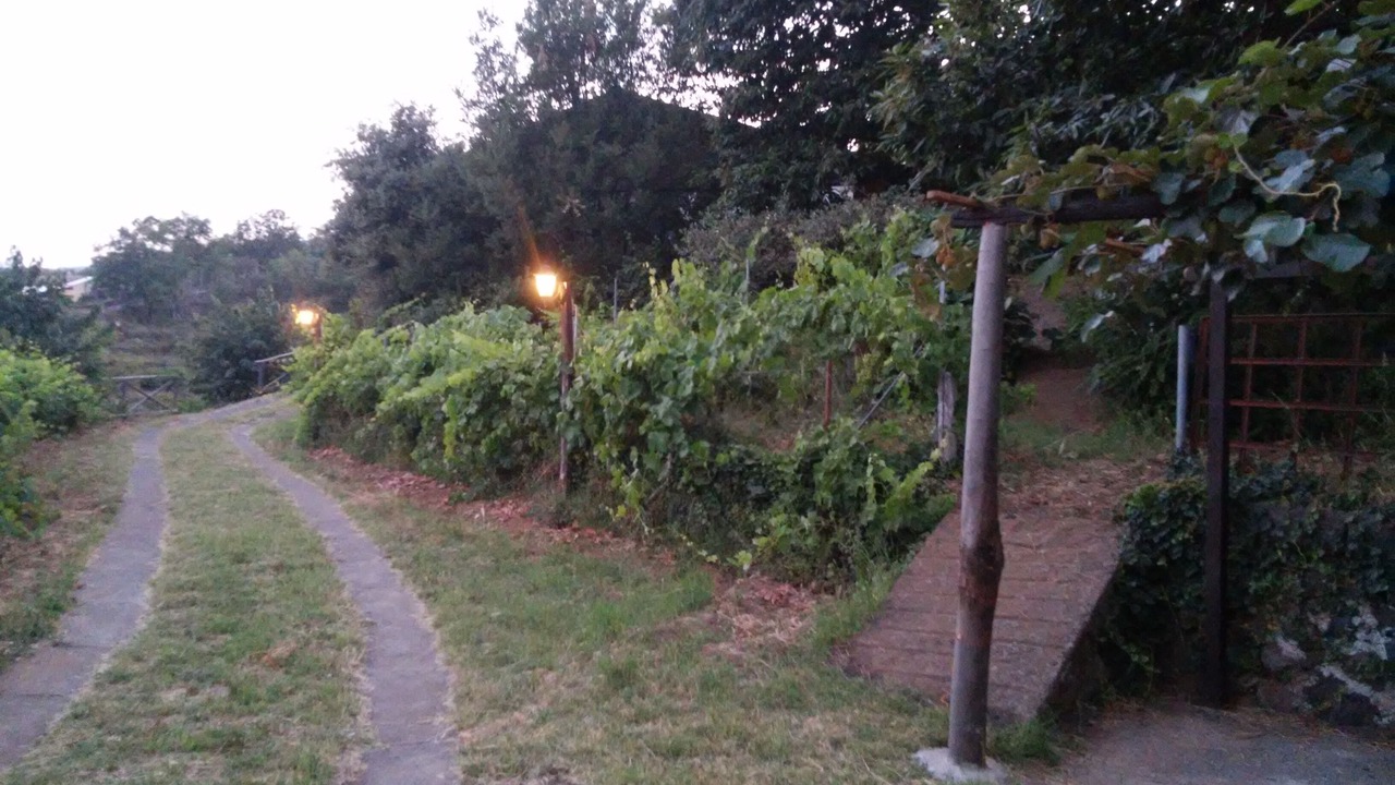 Photo of Outdoor in Fornazzo