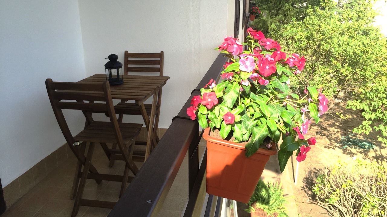 Photo of Outdoor in Pedara
