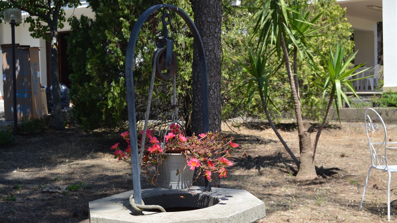 Photo of Outdoor in Pedara