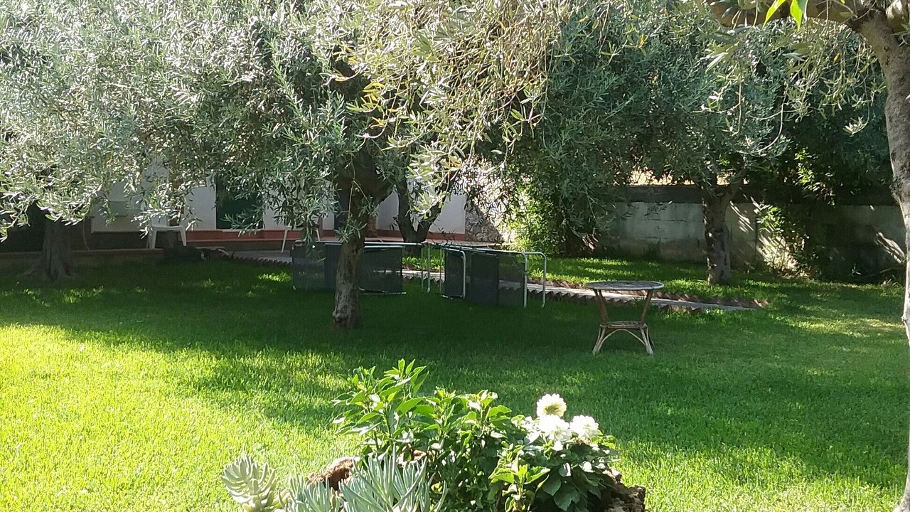 Photo of Outdoor in Mitogio