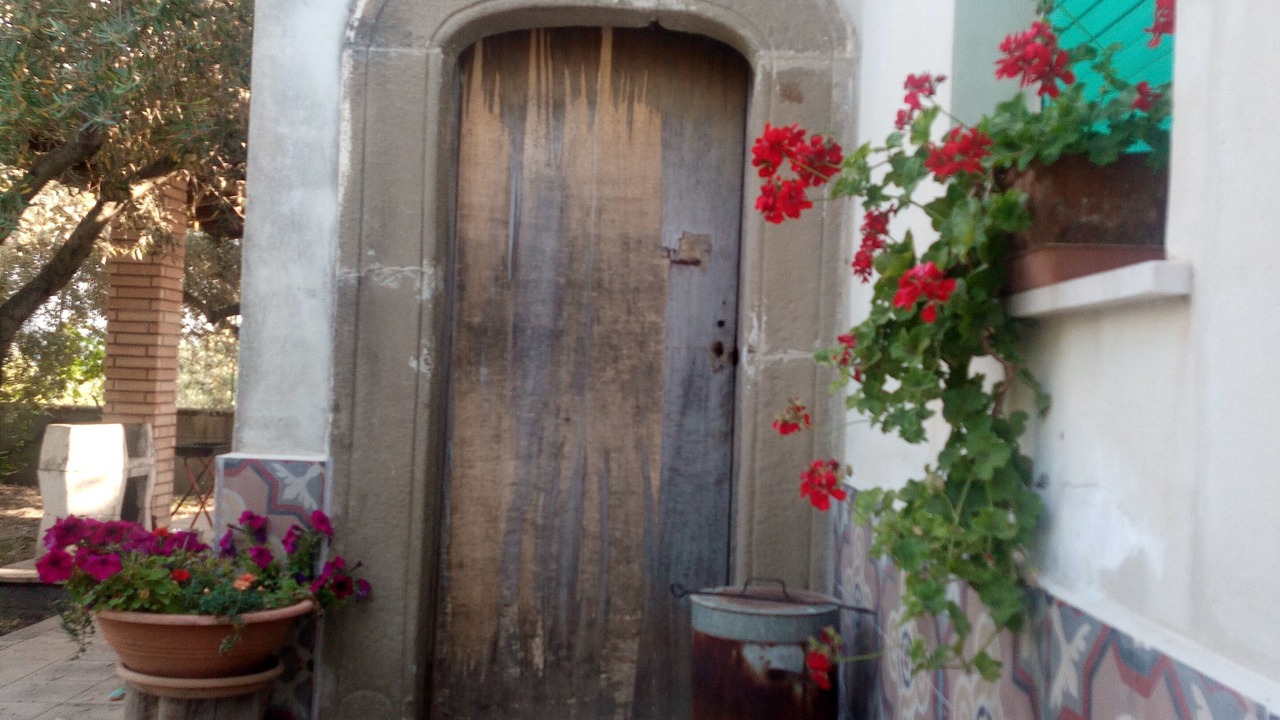 Photo of Outdoor in Mitogio