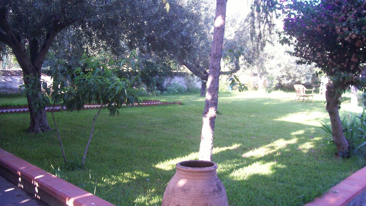 Photo of Outdoor in Mitogio