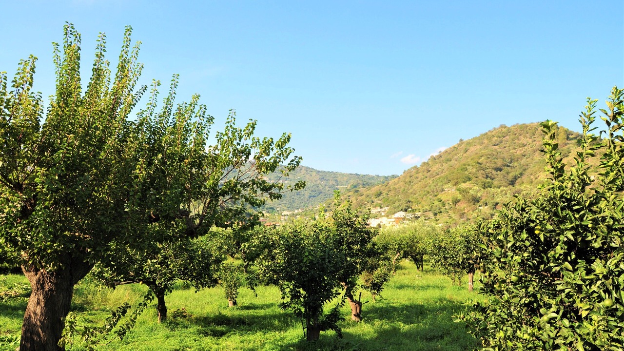 Photo of Others in Sant'Alessio Siculo