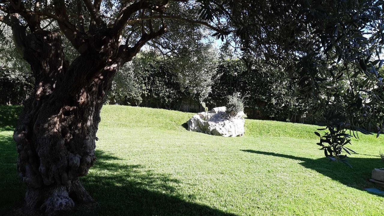 Photo of Outdoor in Casale Modica