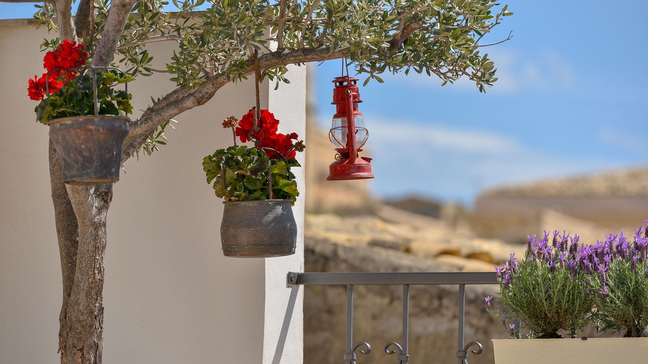 Photo of Others in Noto Historic Centre