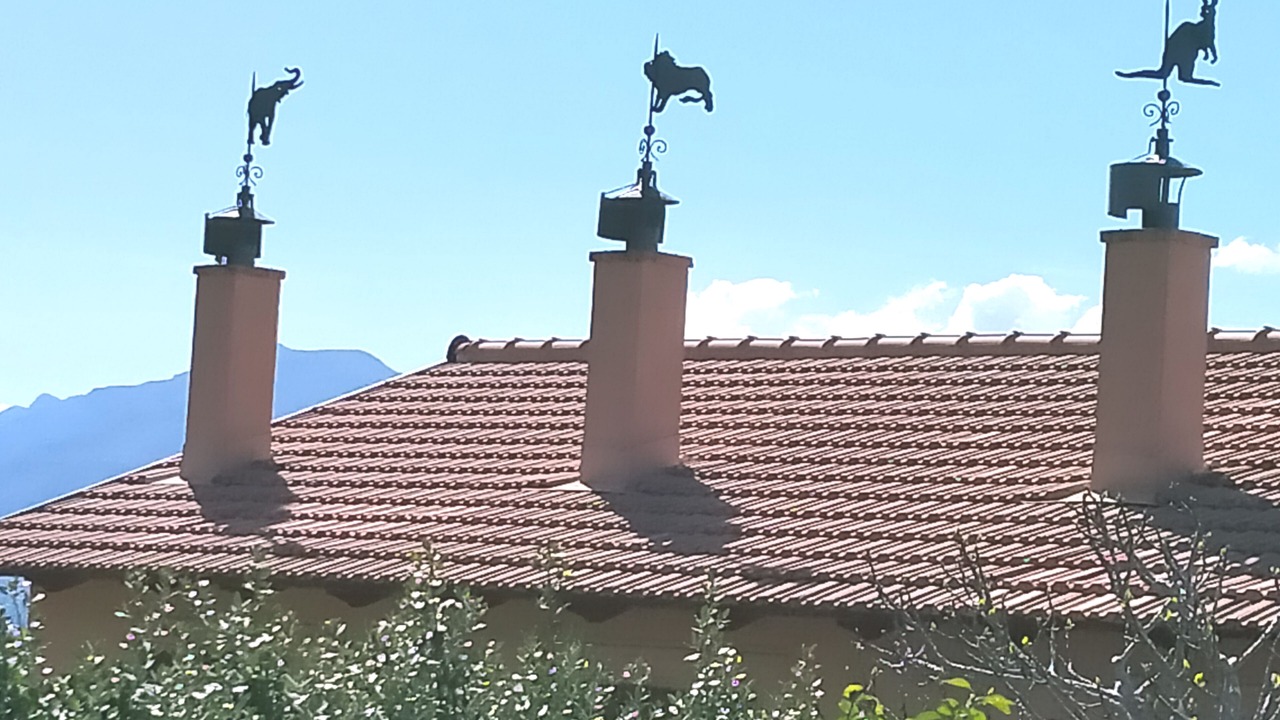 Photo of Others in Santa Flavia