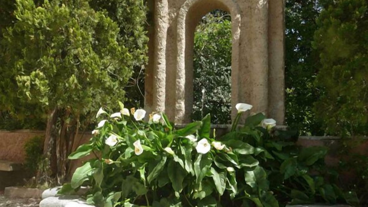 Photo of Outdoor in Santa Flavia