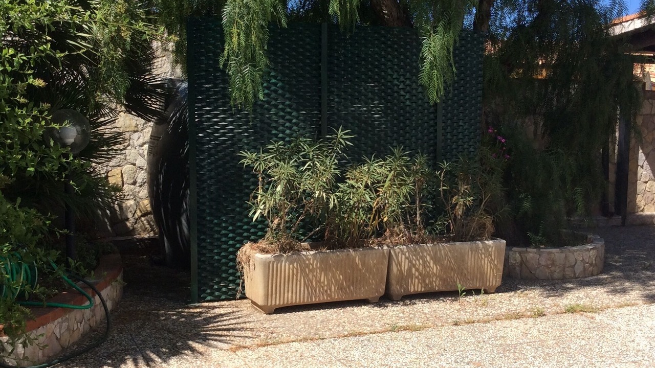 Photo of Outdoor in Isola delle Femmine