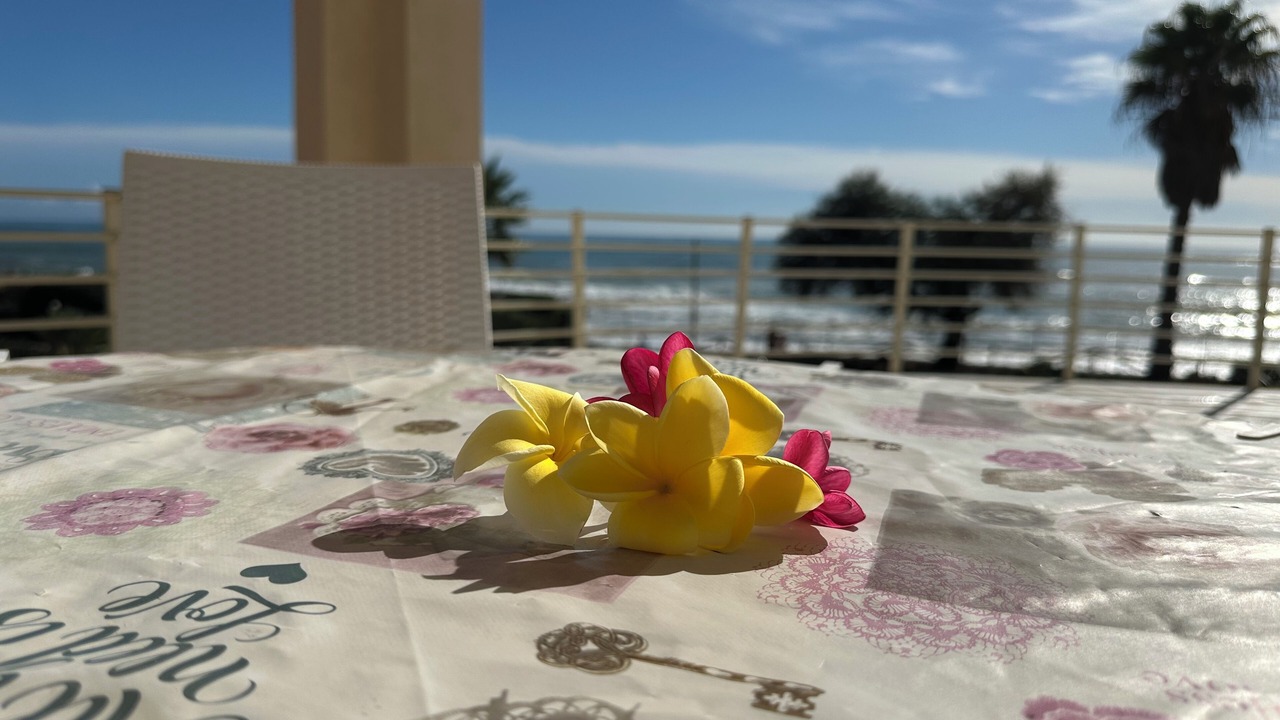 Photo of Outdoor in San Lorenzo