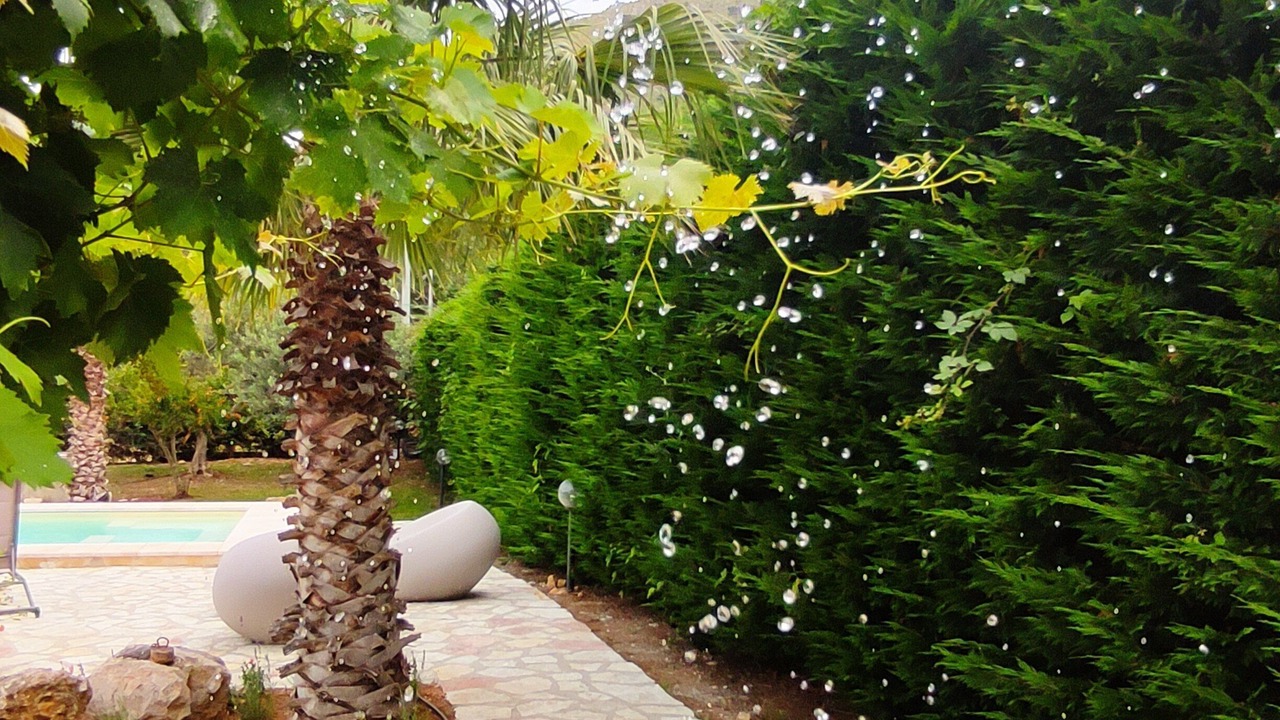 Photo of Outdoor in Castellammare del Golfo