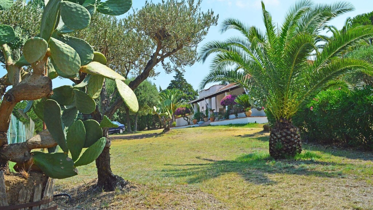 Photo of Outdoor in Catute