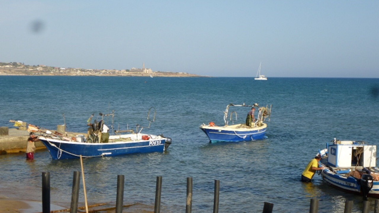 Photo of Others in Cava dʼAliga