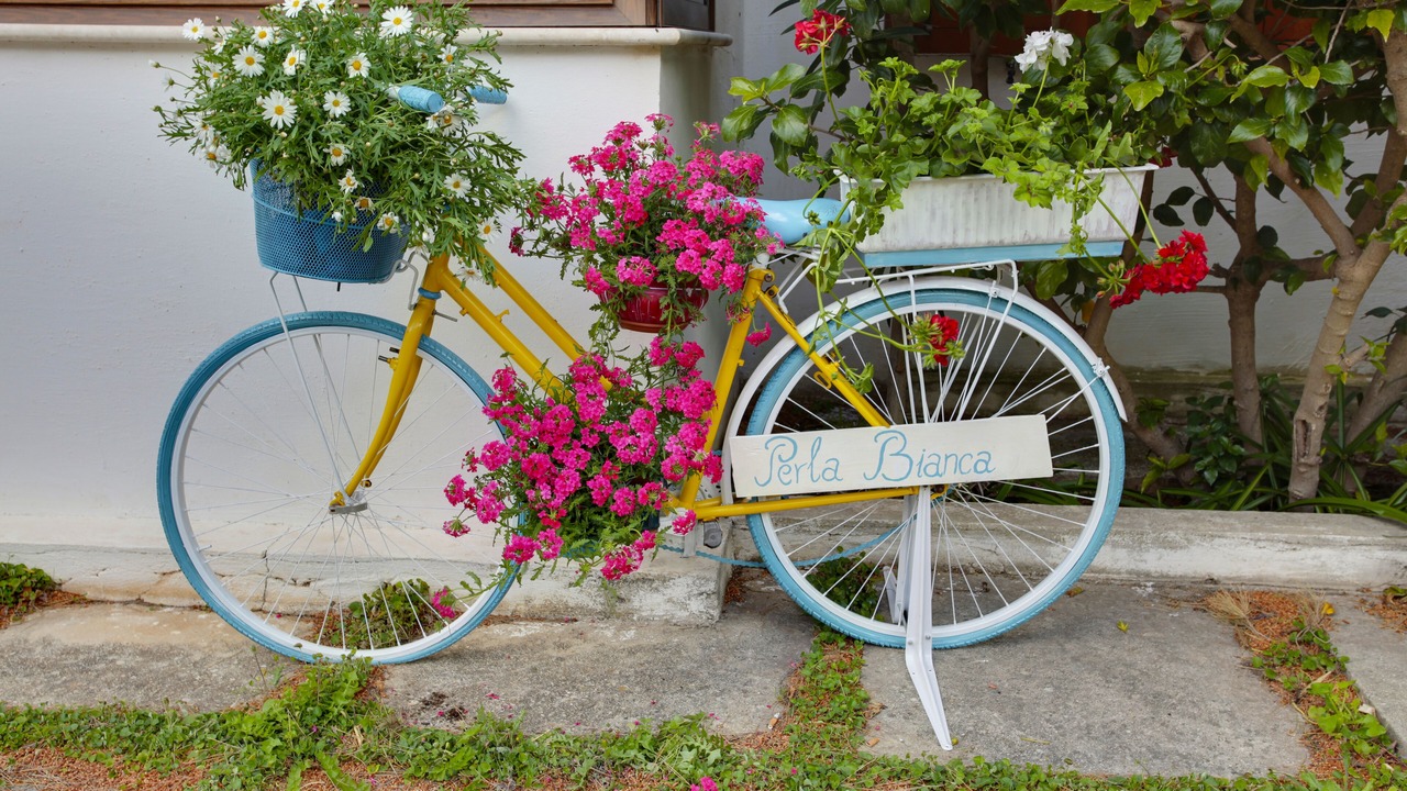Photo of Outdoor in Castelluzzo