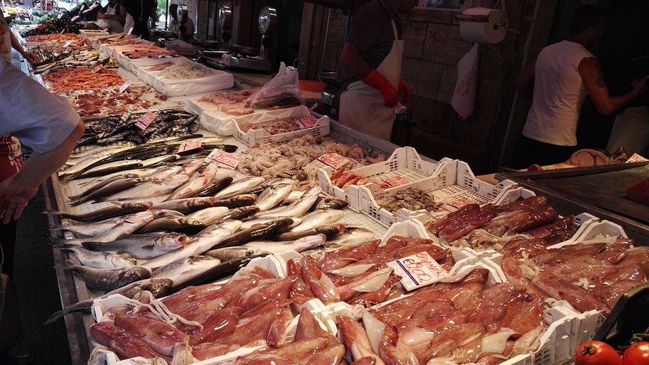 Photo of Others in Ortigia