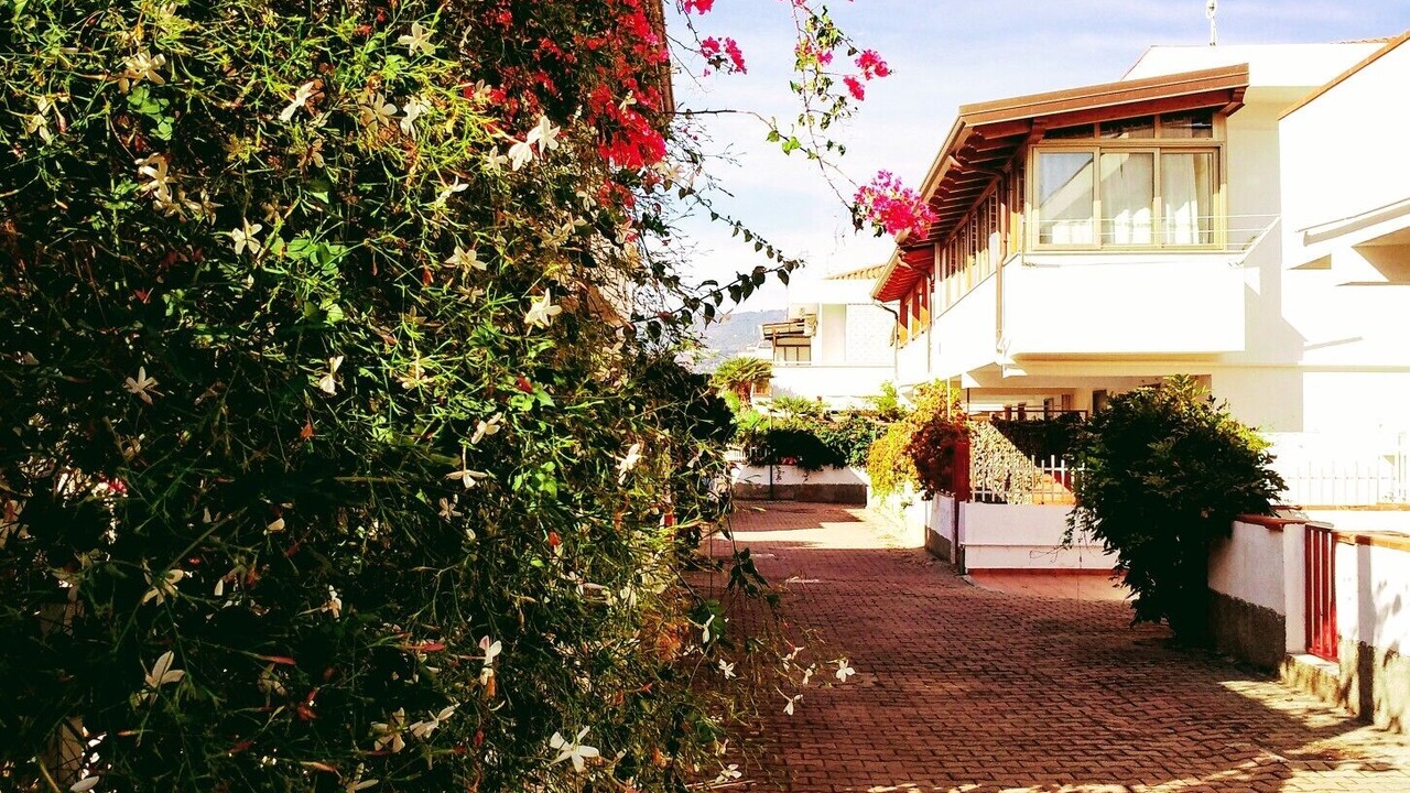 Photo of Outdoor in Mongiove