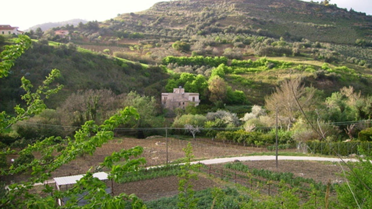 Photo of Outdoor in Calatafimi