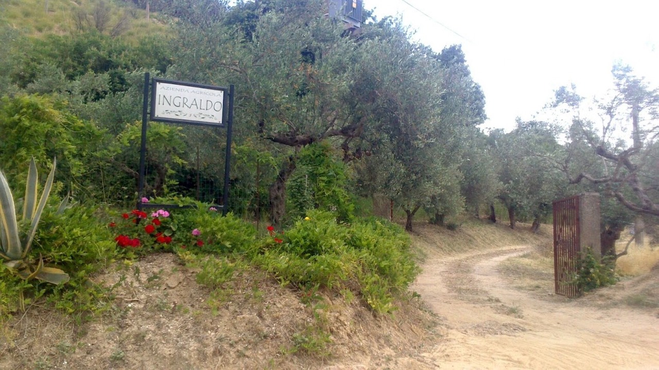 Photo of Outdoor in Calatafimi