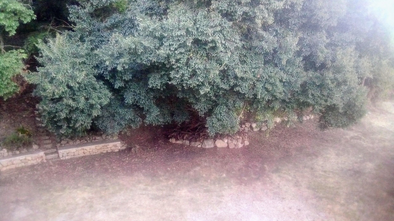 Photo of Outdoor in Calatafimi