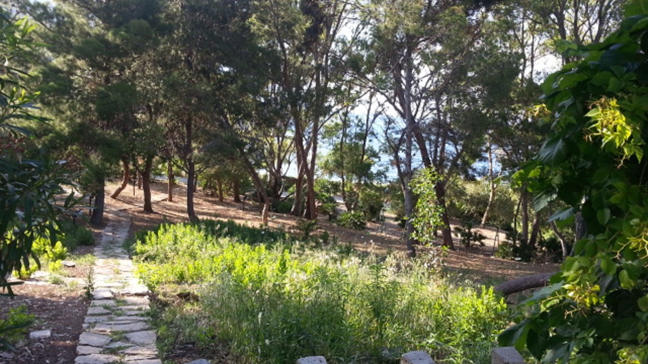 Photo of Outdoor in Scopello