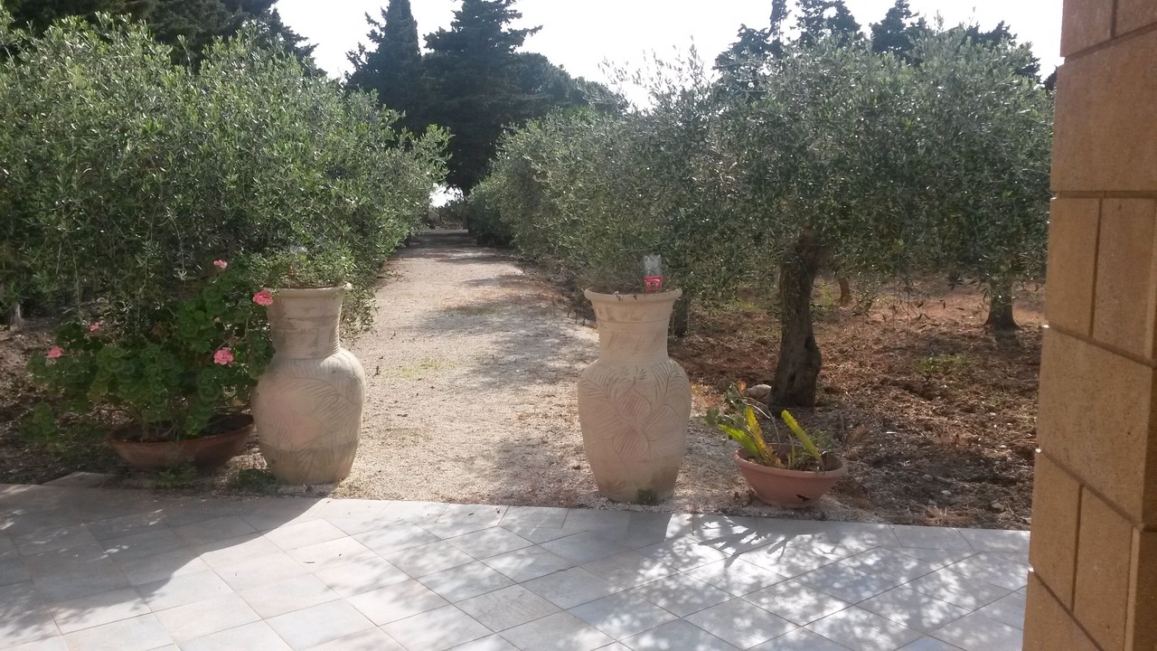 Photo of Outdoor in San Leonardo