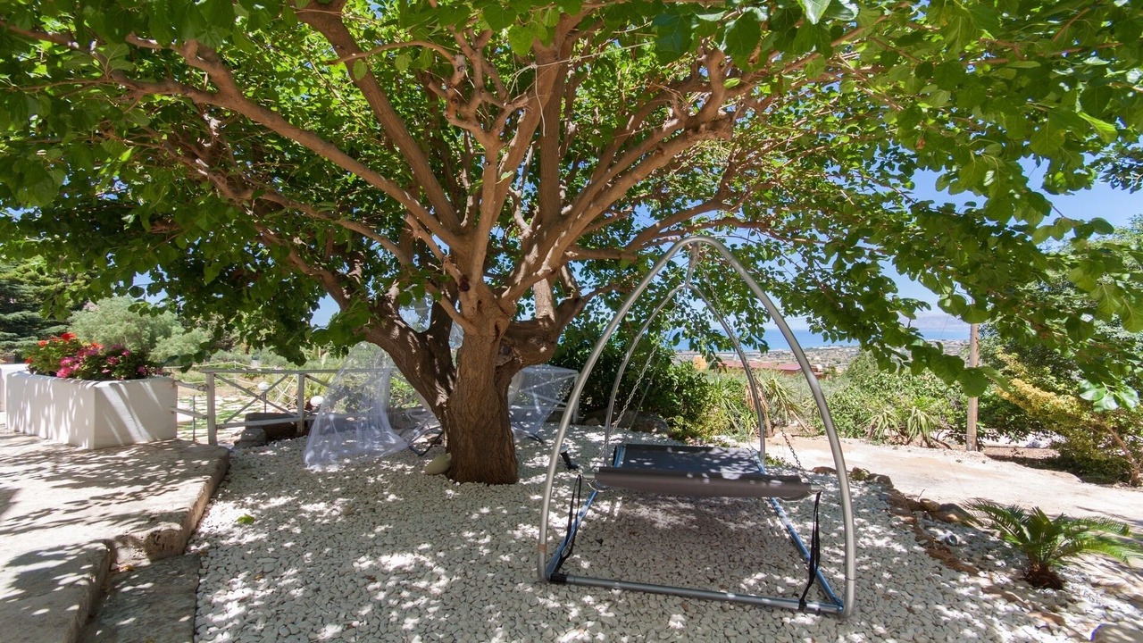 Photo of Outdoor in Castellammare del Golfo