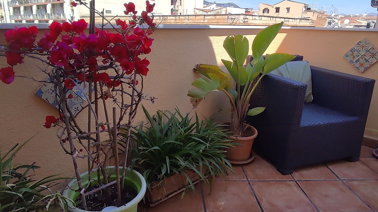 Photo of Patio Balcony in Palermo