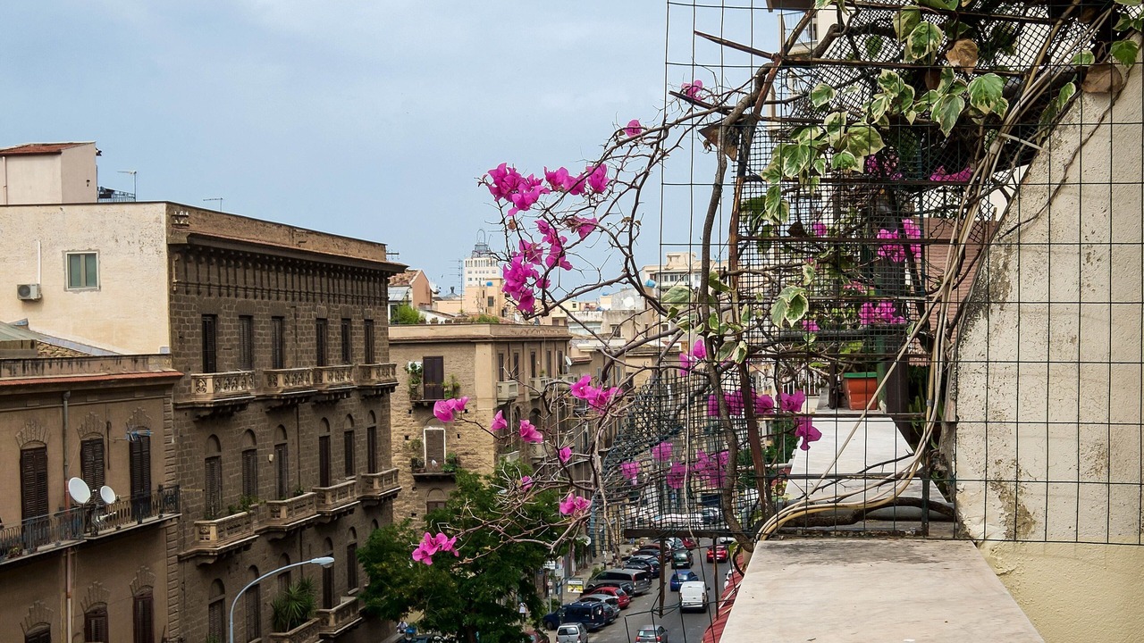 Photo of Patio Balcony in Palermo