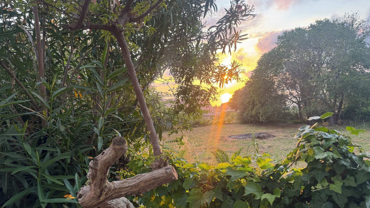 Photo of Outdoor in Parghelia