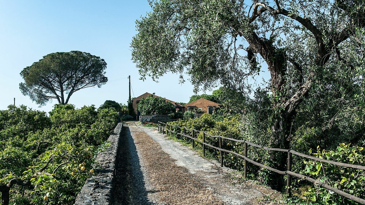 Photo of Others in Acireale