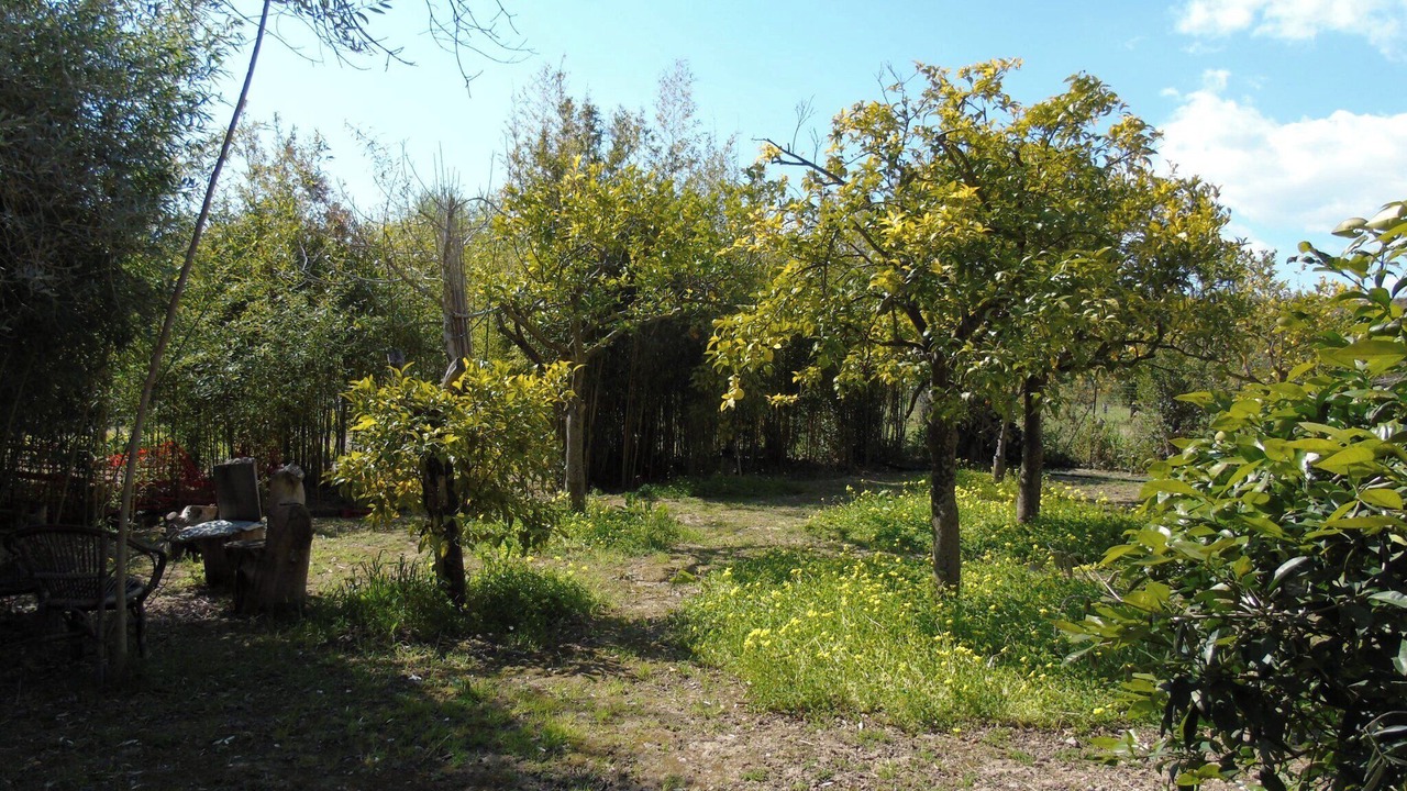 Photo of Outdoor in Noto Marina