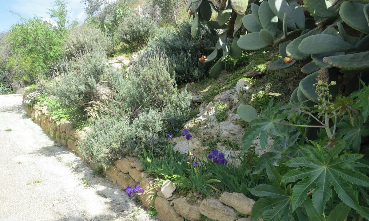 Photo of Outdoor in Noto Marina