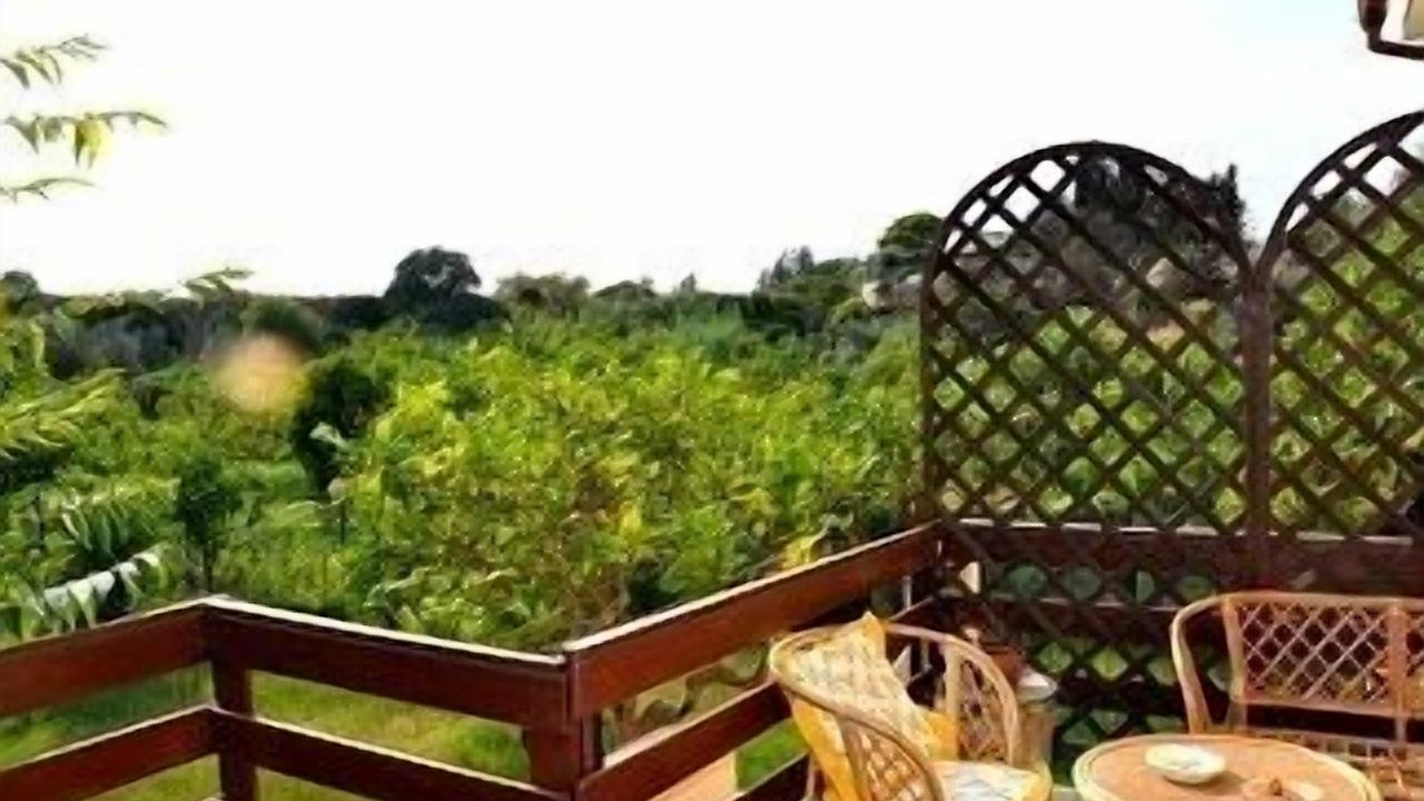 Photo of Outdoor in Noto Marina