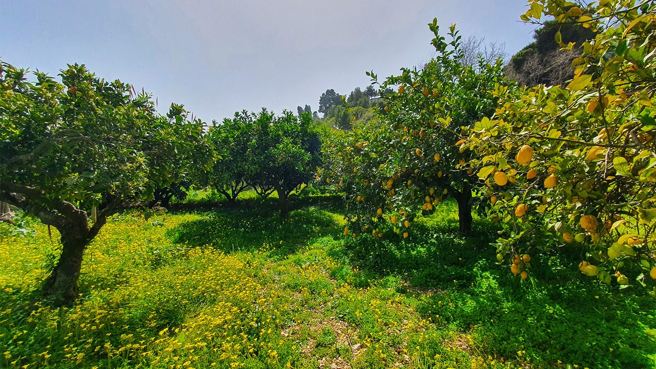 Photo of Outdoor in Alcamo
