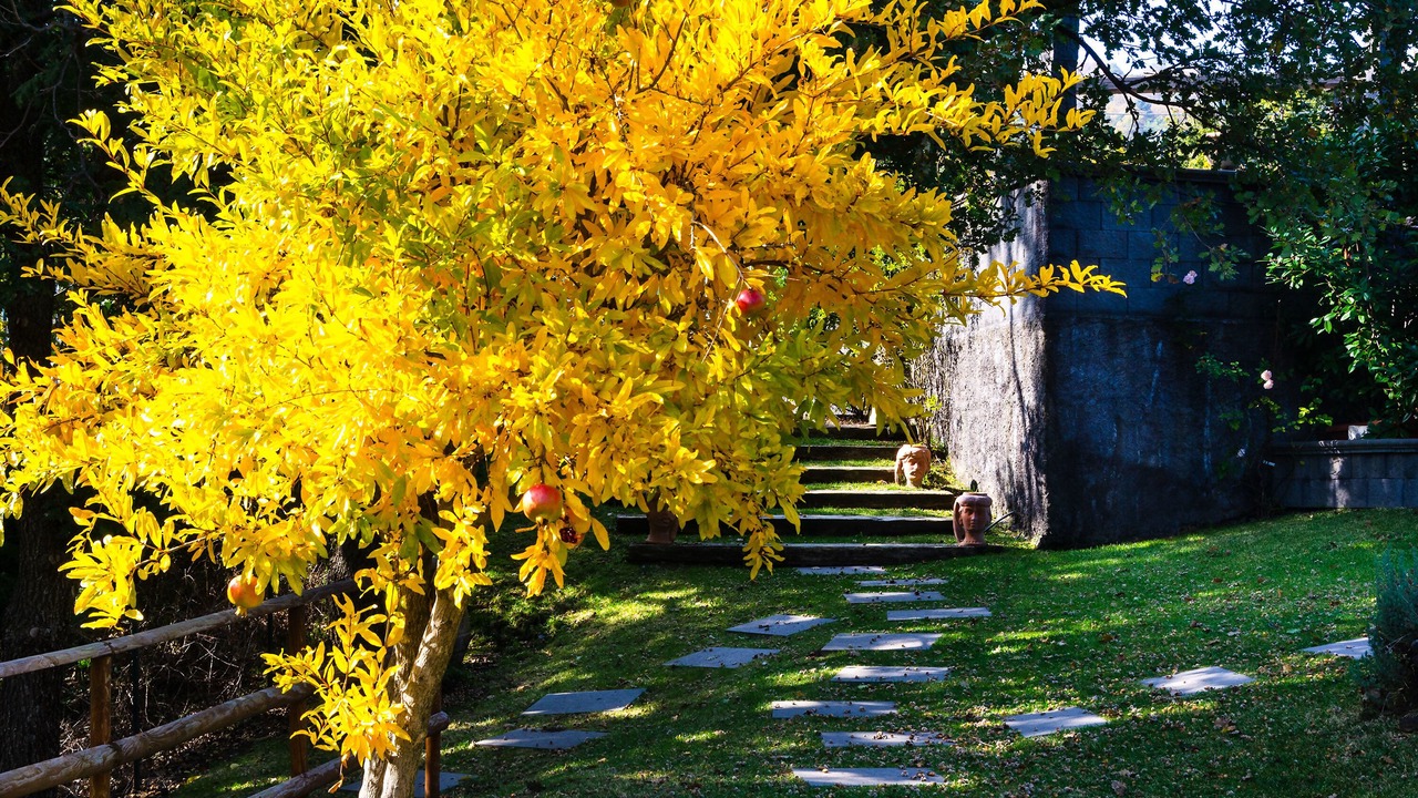 Photo of Outdoor in Montargano