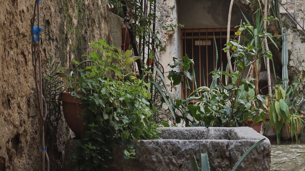 Photo of Outdoor in Old Town