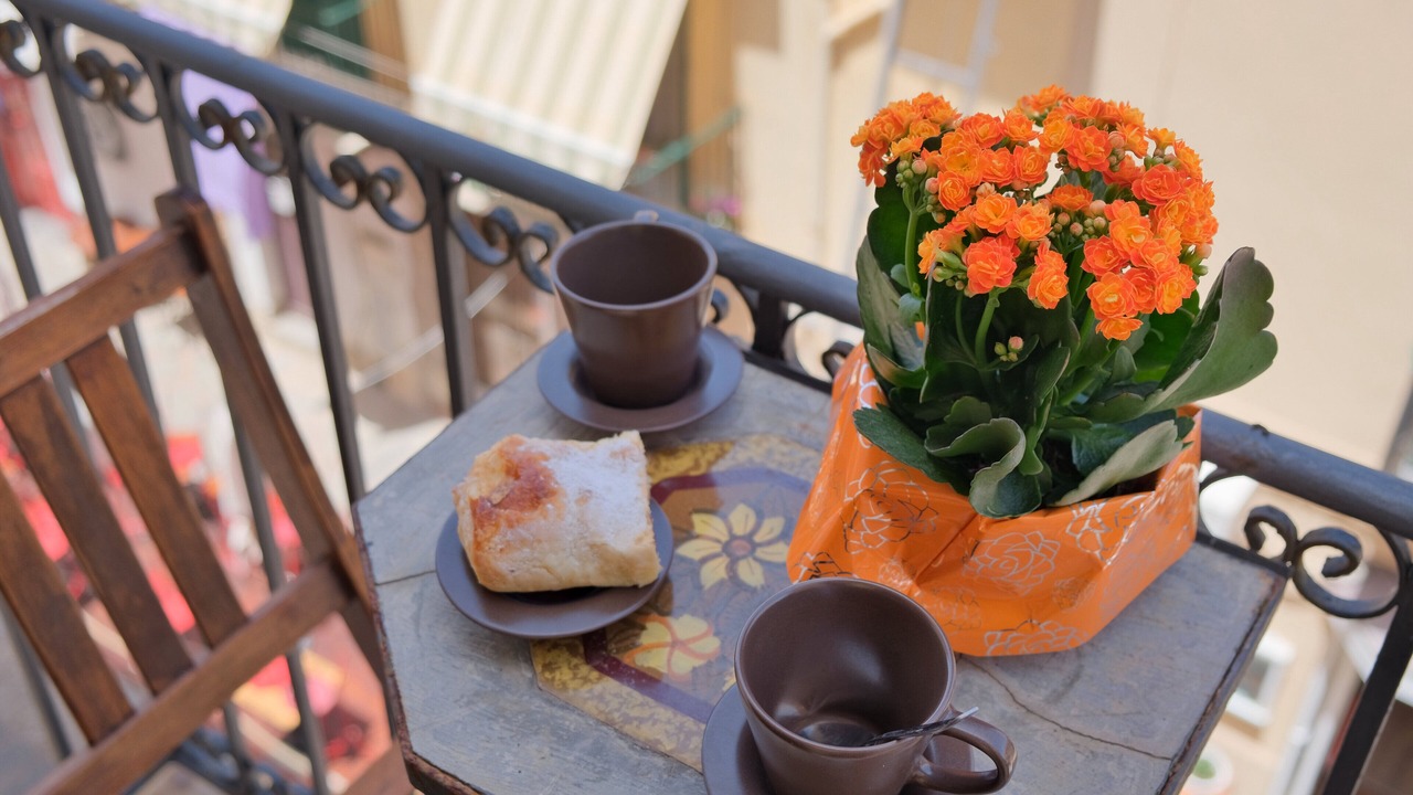Photo of Outdoor in Old Town
