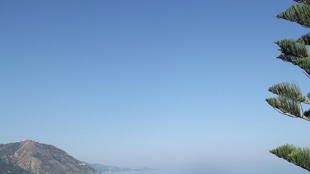 Photo of Others in Gioiosa Marea