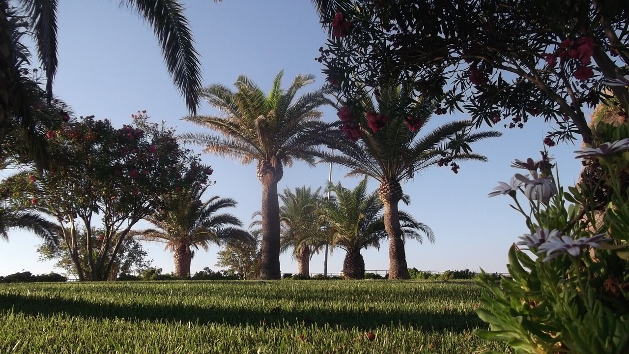 Photo of Outdoor in Gioiosa Marea