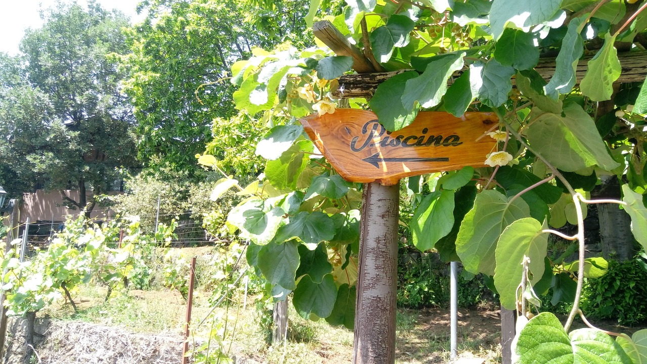 Photo of Outdoor in Fornazzo